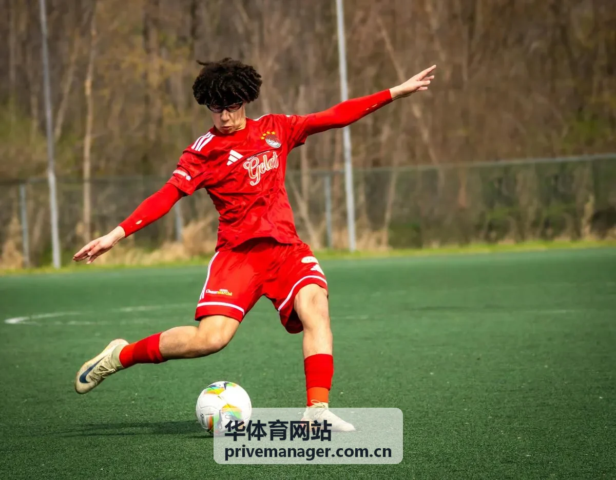 华体育 体育法修订合规要点